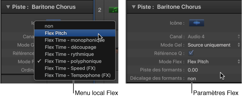 Figure. Inspecteur de piste affichant les algorithmes et paramètres Flex.