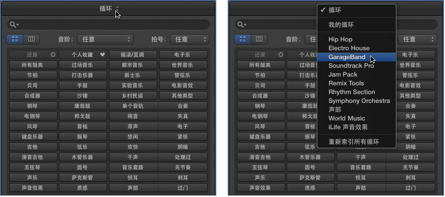 图。 显示可用循环的“循环”弹出式菜单。