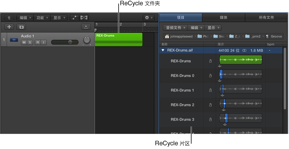 图。 “轨道”区域中的 ReCycle 文件夹和项目音频浏览器中的 ReCycle 片段。