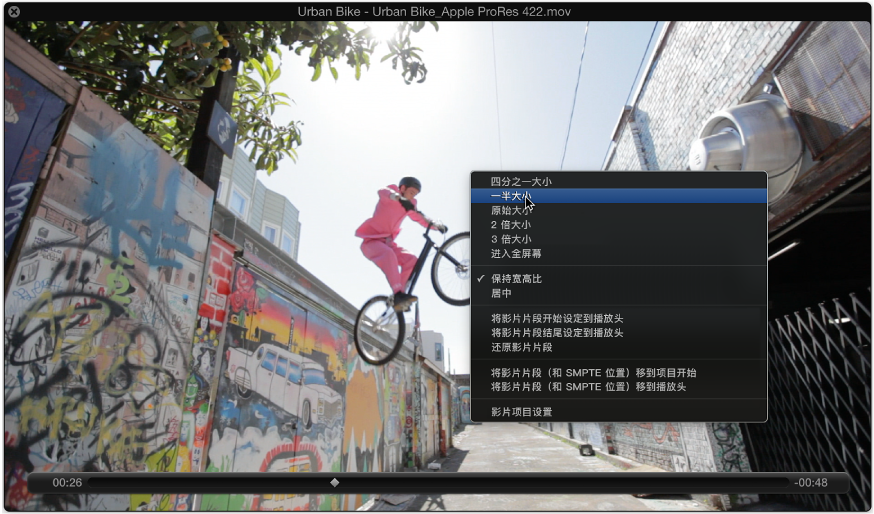 图。 显示快捷键菜单中的图像格式的“影片”窗口。