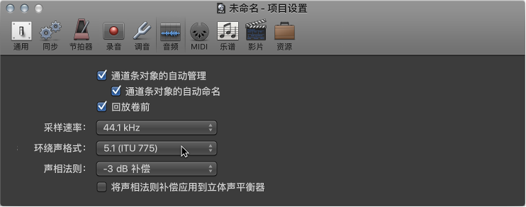 图。 音频项目设置面板。