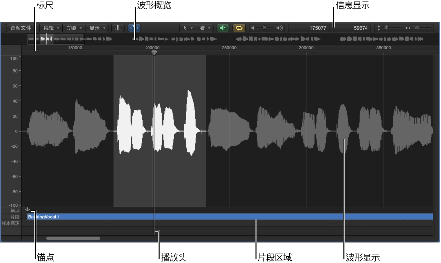 图。 样本编辑器。