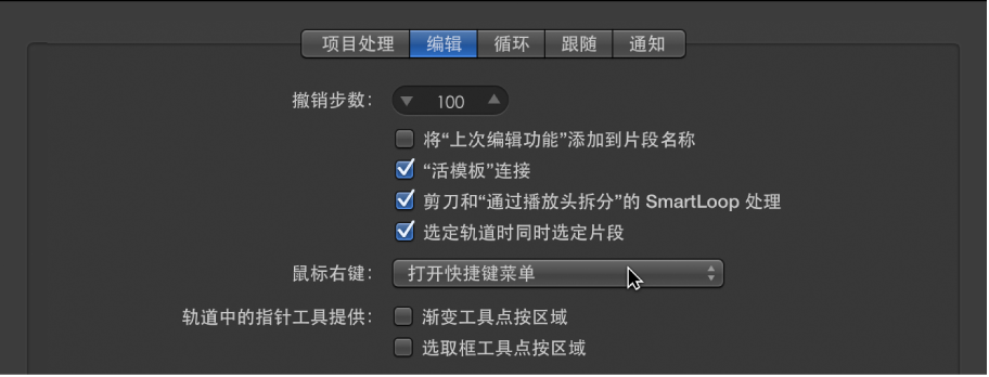 图。 “通用”偏好设置的“编辑”面板中的“指针工具”复选框。