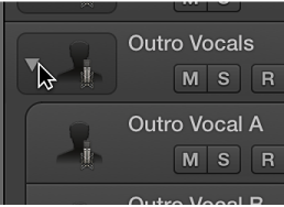 图。 点按 Track Stack 标头中的显示三角形。