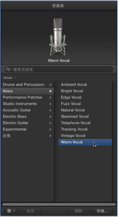 图。 声乐 Patch 被选定的“资源库”。