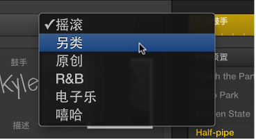 图。 选取了“另类”的“类型”弹出式菜单。