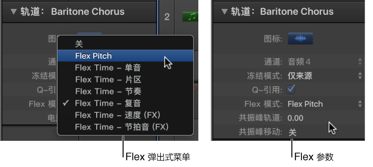 图。 显示 Flex 算法和参数的轨道检查器。