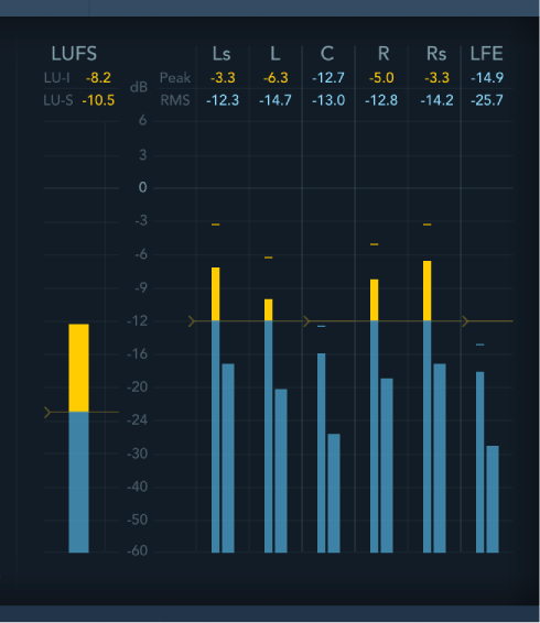 Figure. Surround MultiMeter Level Meter.