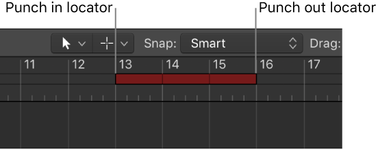 Figure. Showing the autopunch area's punch in and out locators.
