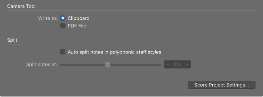 Figure. Camera tool settings in Score preferences pane.