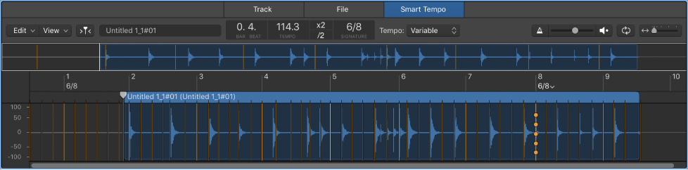 Figure. Smart Tempo Editor with audio file and one beat selected.