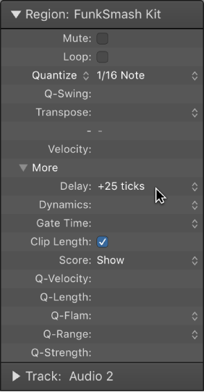 Figure. Delay parameter in the Region inspector.