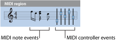 Figure. Illustration of a MIDI region.