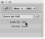 Figure. Scale parameter in the Score Set window.