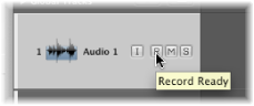 Figure. Record Enable button in the track header.