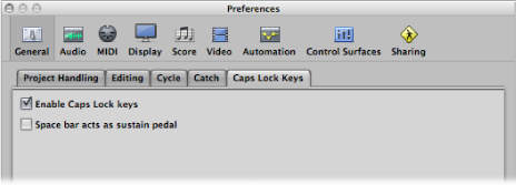 Figure. Caps Lock Keys pane in the General preferences.
