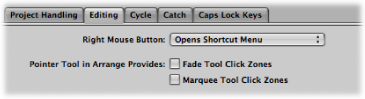 Figure. Pointer Tool checkboxes in the Editing pane in the General preferences.