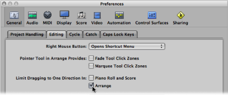 Figure. General Editing preferences showing checkboxes to limit region movements.