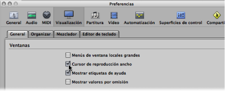 Figure. General pane of the Display preferences with the Wide Playhead checkbox selected.
