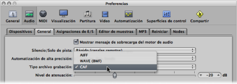Figure. Recording File Type menu in the General pane in the Audio preferences.