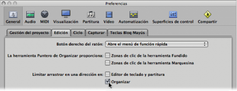 Figure. General Editing preferences showing checkboxes to limit region movements.