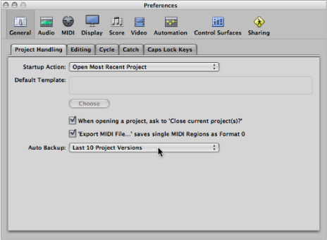 Figure. Auto Backup menu in the Project Handling pane in the General preferences.