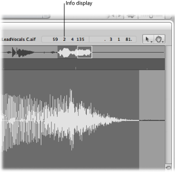 Figure. Info display in the Sample Editor.