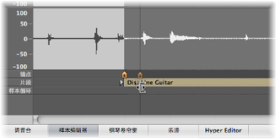 Figure. Sample Editor showing region start marker in the Region row.