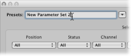 Figure. Entering a transform set name in the Presets menu.
