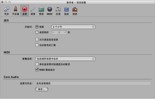 Figure. Recording project settings pane.