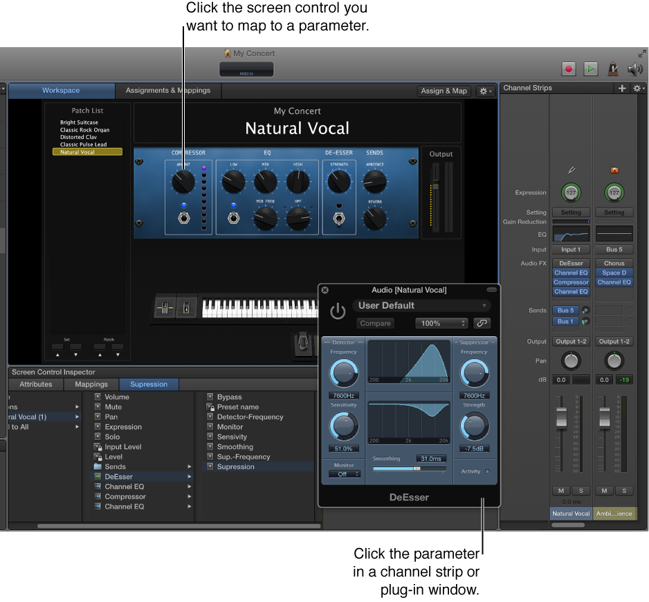 Figure. Mapping a screen control to a plug-in parameter.