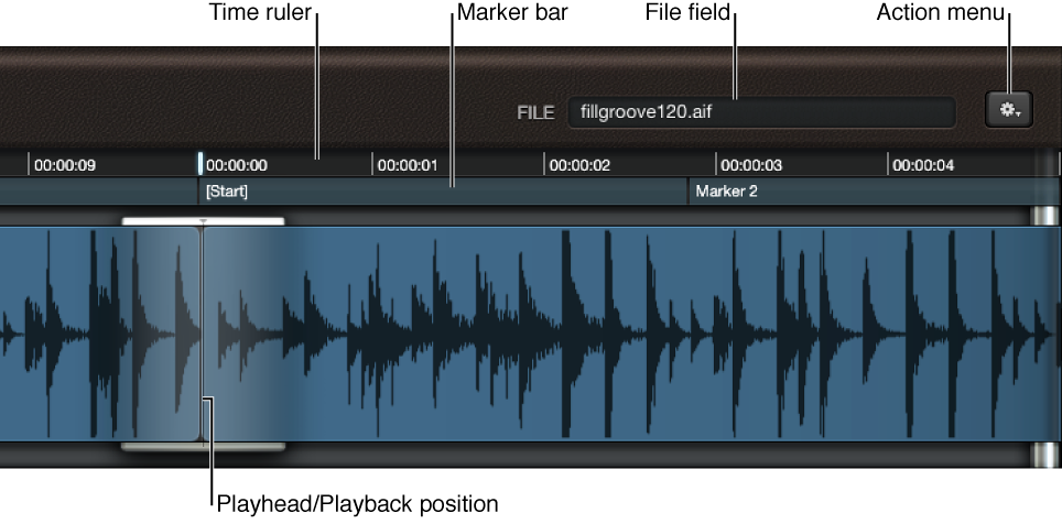 Figure. Waveform display, showing File field, ruler, and playhead. 