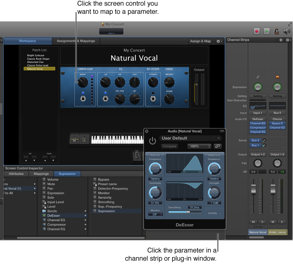 Figure. Mapping a screen control to a plug-in parameter.