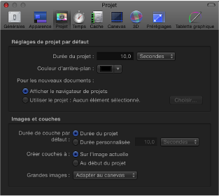 Figure. Motion Preferences window showing Project pane.