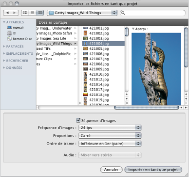 Figure. Import Files as Project dialog.