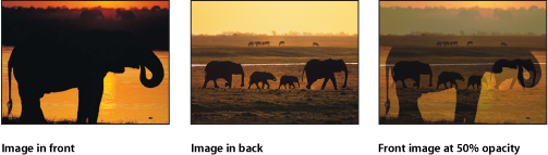 Figure. Canvas window showing the effect of decreasing an object's opacity.