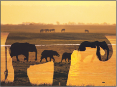 Figure. Canvas window showing two objects blended using the Screen blend mode.