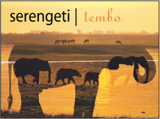 Figure. Canvas window showing an object above the blended layers.