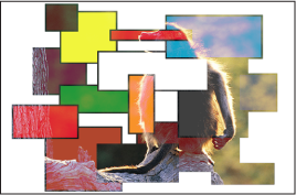 Figure. Canvas window showing the boxes and the monkey blended using the Lighten mode.