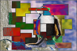 Figure. Canvas window showing the boxes and the monkey blended using the Difference mode.