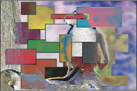 Figure. Canvas window showing the boxes and the monkey blended using the Exclusion mode.