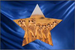 Figure. Canvas window showing the effect of the Silhouette Alpha blend mode with a third object underneath.