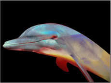 Figure. Canvas window showing blended objects with Preserve Opacity turned on.