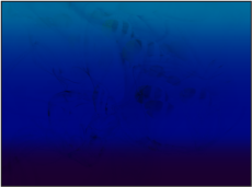 Figure. Canvas window showing groups multiplied together.