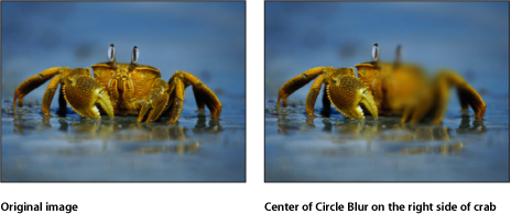 Figure. Canvas showing effect of the Circle Blur filter.