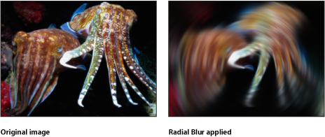 Figure. Canvas showing effect of the Radial Blur filter.