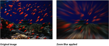 Figure. Canvas showing effect of the Zoom Blur filter.