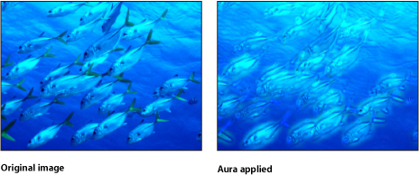 Figure. Canvas showing effect of the Aura filter.