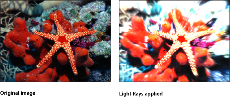 Figure. Canvas showing effect of the Light Rays filter.