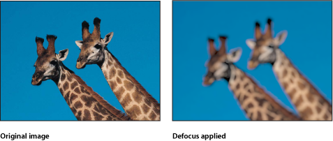 Figure. Canvas showing effect of the Defocus filter.